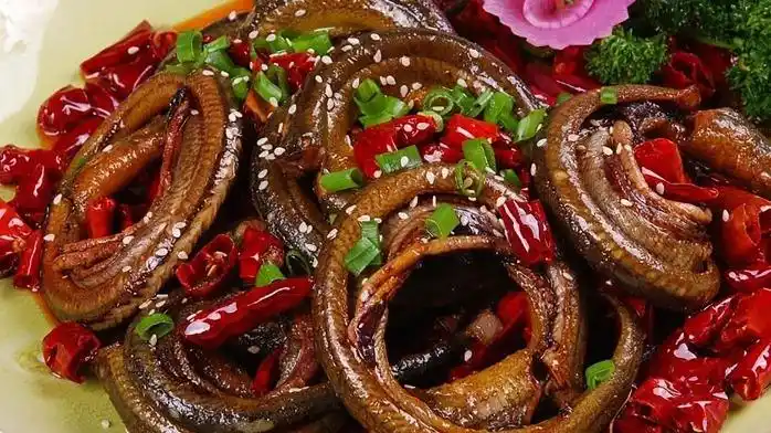 饭店招牌菜盘龙黄鳝怎么做?分享秘诀和做法,手撕着吃太香了!