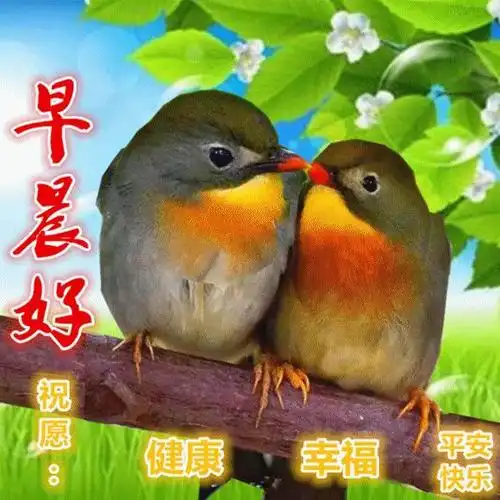 早上好祝福图片早上好问候句子