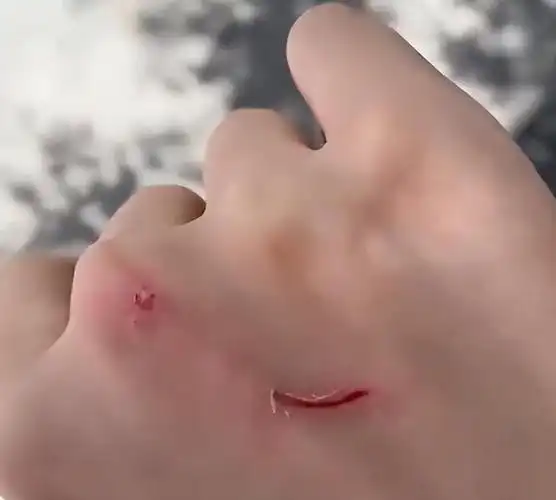 女子给生病母亲让座大妈抢走后还打人目击者扇了一巴掌