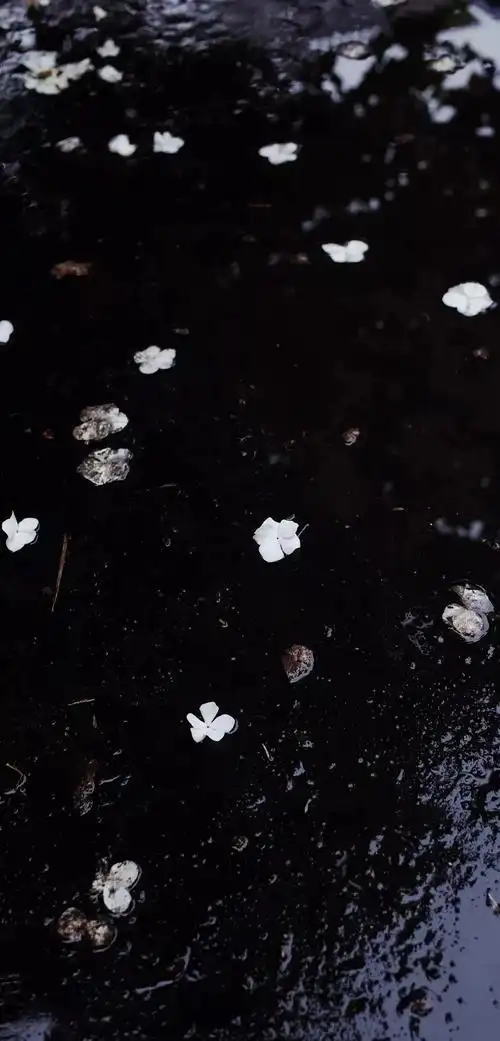 黑色壁纸丨超棒的高级感手机壁纸