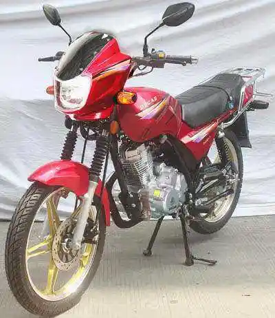 大江牌dj1507两轮摩托车