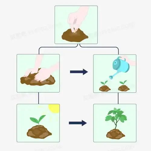 一组卡通播种过程免抠元素