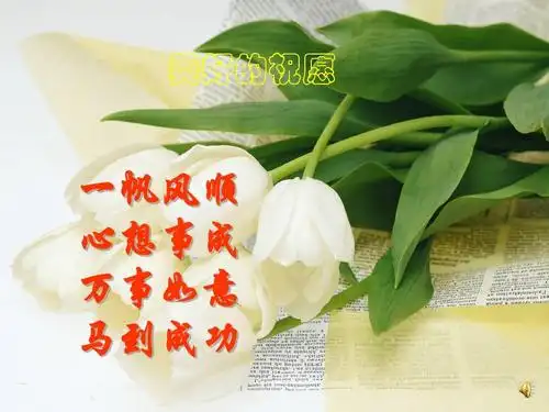 与挫折同行(1)ppt