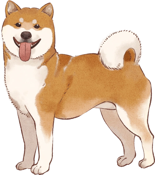 动物插画中国风民族柴犬水墨画忠诚彩色特色宠物图片