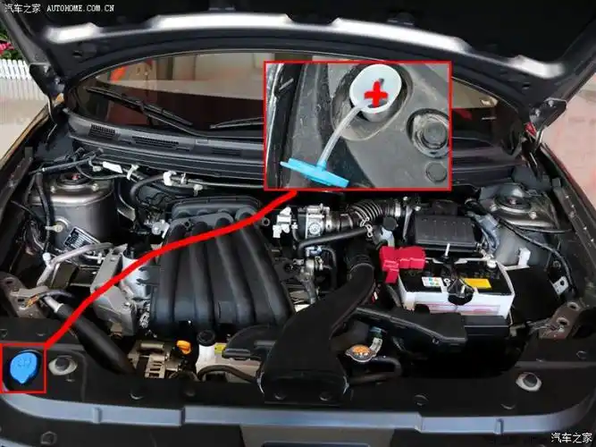 轩逸论坛_汽车之家论坛