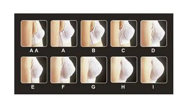 abcdef这样一系列的英文字母,其实就是胸罩的罩杯尺寸大小.