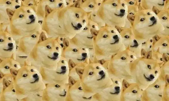 doge表情包柴犬生命垂危!陪伴我们10年的表情包要离开了吗?