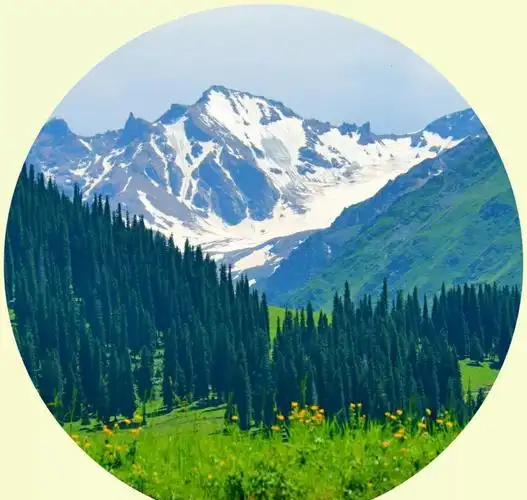 微信头像:花鸟,树林,大山河流,漂亮建筑,各种各样养眼的美景