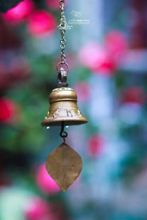 风铃和松果.我爱雨天寂照庵里的每一个美好的细节.