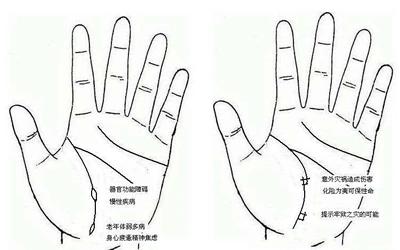 男人生命线的十大说法