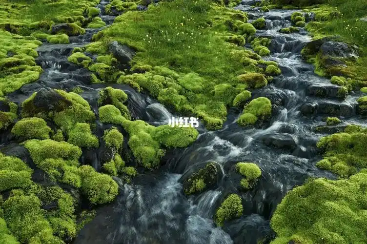 ③如觉得不够高清,我收藏笔记里找我拿哦高清壁纸 | ins壁纸|小