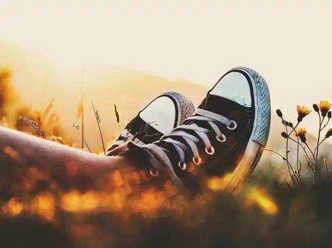 帆布鞋,唯美,安静,草丛,静谧,静物,秋天的帆布鞋,匡威帆布鞋壁纸图片