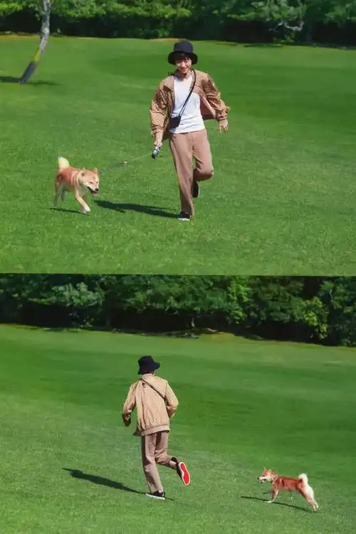 王俊凯elle四月刊封面