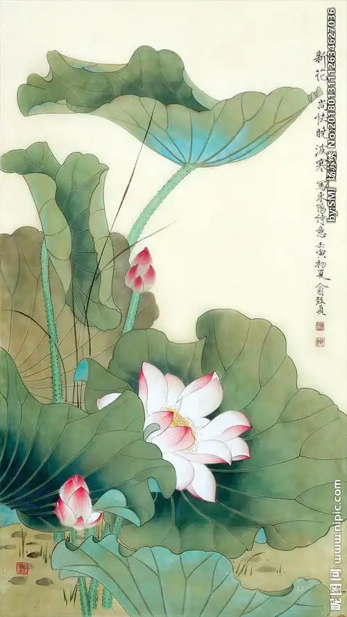 工笔画荷花图片
