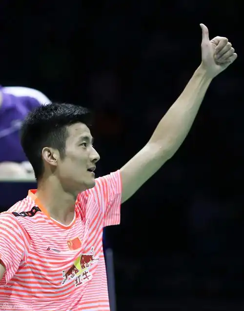 新浪直击谌龙男单获胜_高清图集_新浪网