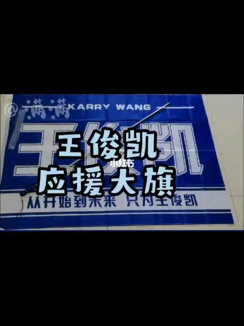 王俊凯应援大旗