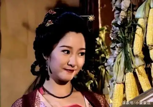 《天龙八部》经常使坏的马夫人康敏,究竟想要得到什么?