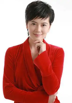 嫁富豪的央视女主播之沈冰 弃媒从政退居幕后(图)