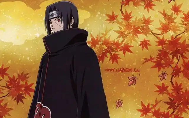 火影忍者晓组织实力排名佐助可算有出息啦