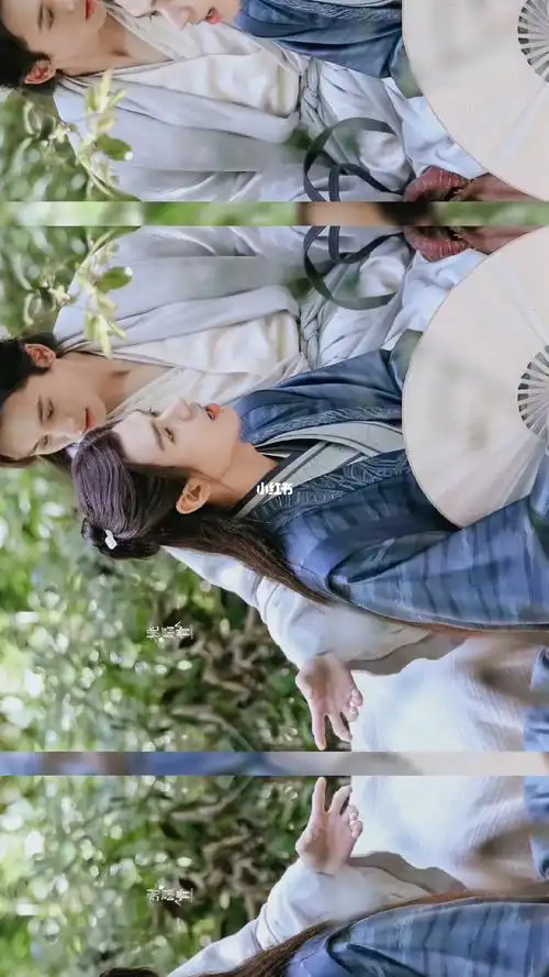 双人向卡点7815满目星辰皆是你_山河令_娱乐_明星娱乐资讯