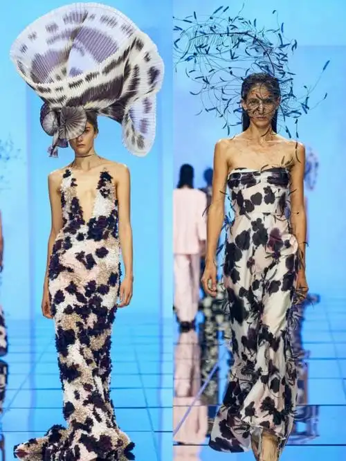 delcore神秘哥斯达黎加