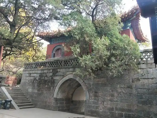 2023壶天阁游玩攻略,.里面还有一棵大树丛中延伸.【去哪儿攻略】