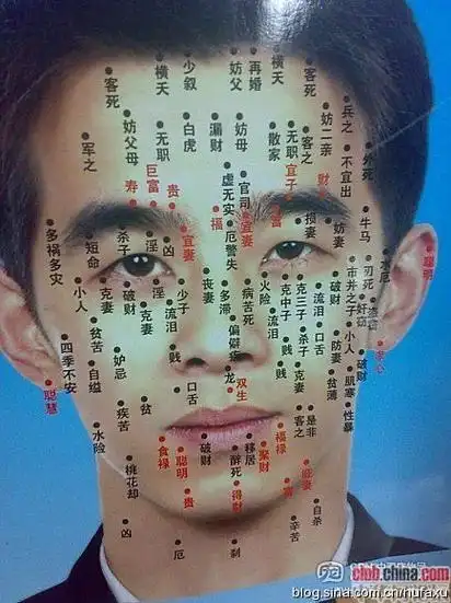 面相痣图解脸上长痣面相图解脸痣面相图解
