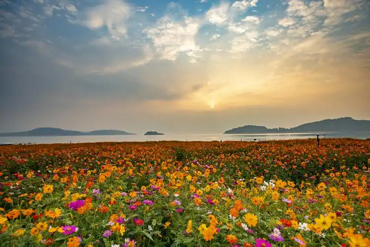 连日的晴好天气,资兴各地风景如画,游客们相约郊游赏美景.8/1