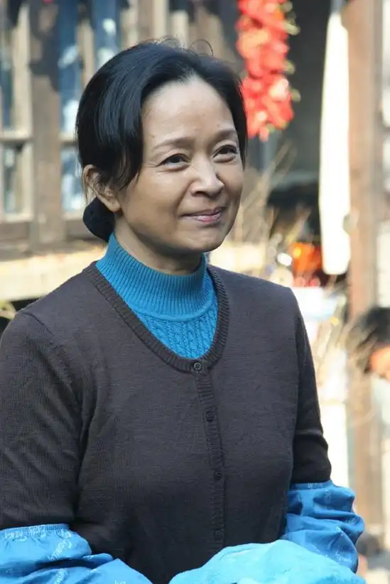 中国家庭之新渴望演员表