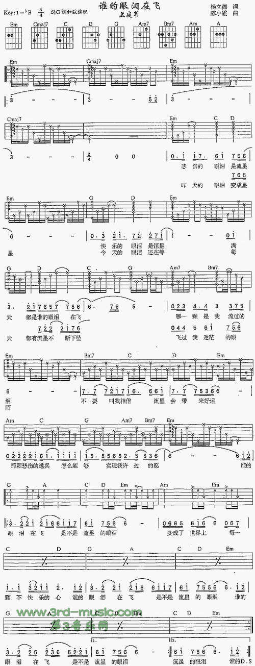 谁的眼泪在飞吉他谱