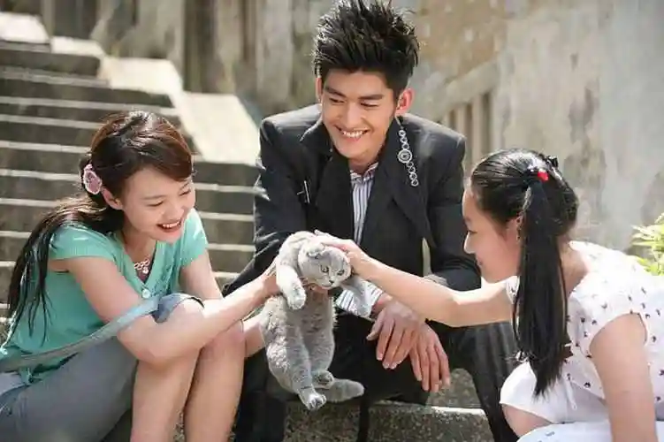 张翰和郑爽结婚了吗(张翰会帮郑爽对付张恒吗)_若水网