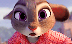 疯狂动物城gif兔朱迪gif懵gif迪士尼gifzootopiagif