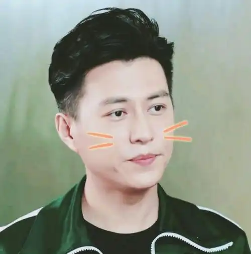 靳东头像简笔画