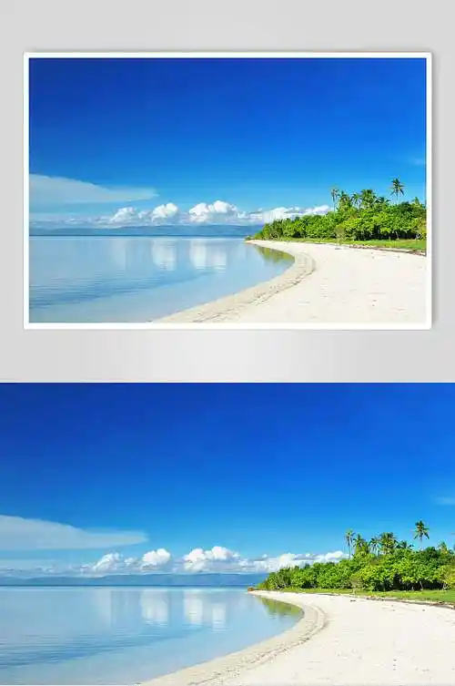 高清近景海边沙滩椰树棕榈