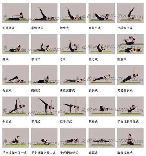 219个入门瑜伽体式先收藏吧