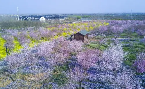 宿迁宿迁三台山森林公园【驴妈妈攻略】