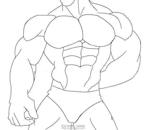 作业:如何学画手绘动漫人物之男性肌肉画法与训练技巧 - 肉末鸡蛋肠