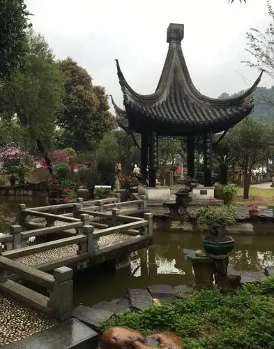 中山自驾游论坛