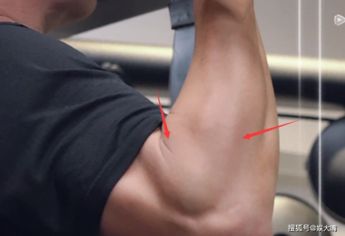 吴京不愧是武夫出身晨起运动量是别人一个星期的最后一项更大胆