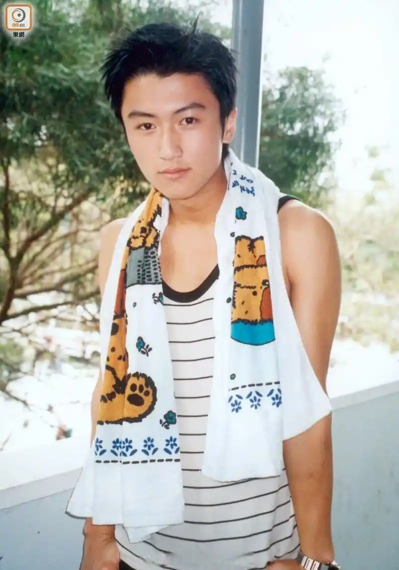 谢霆锋有多帅#不管是现在还是年轻的时候,谢霆锋都有一种独有的男性