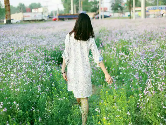 求,小清新头像,背影