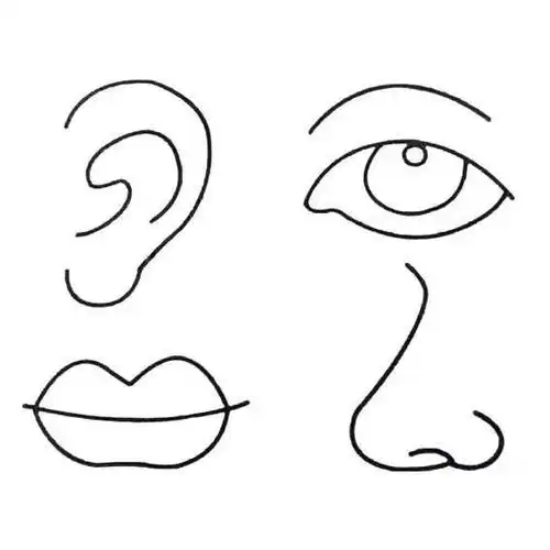人物五官简笔画