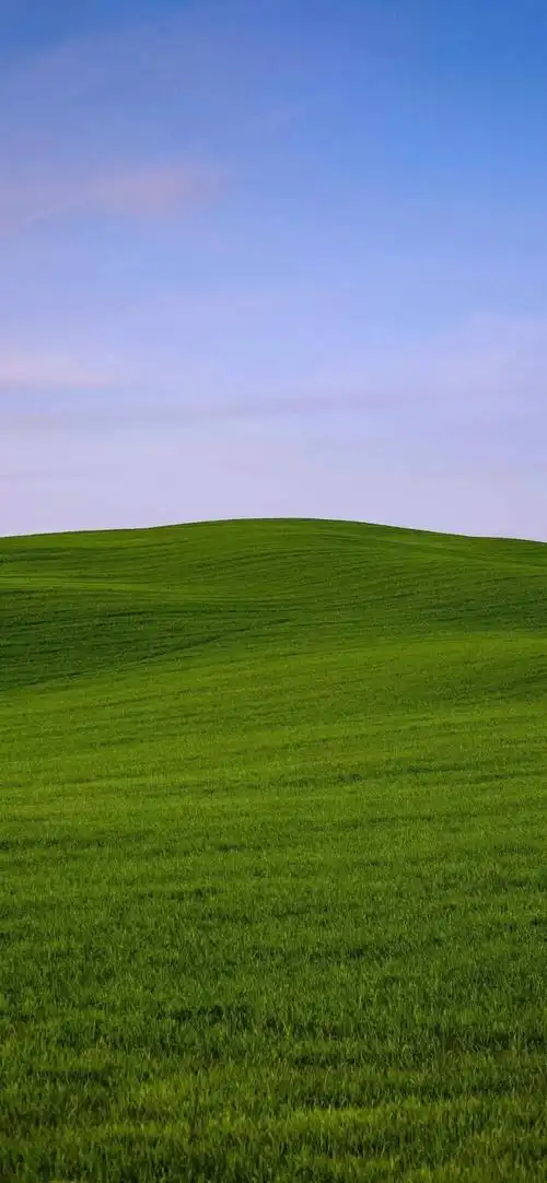 绿色壁纸小天地系列二