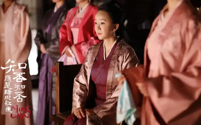 《知否知否应是绿肥红瘦》王一楠剧照图片壁纸