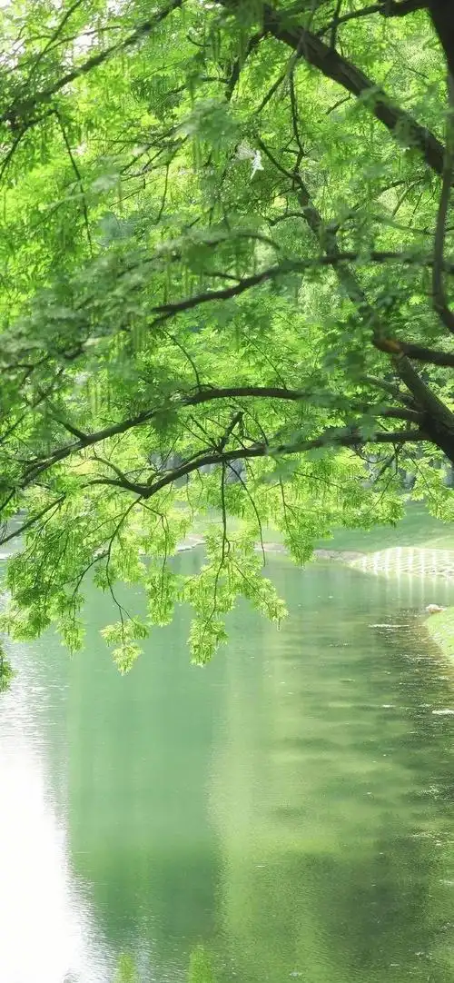 壁纸新鲜出炉的锁屏壁纸哦