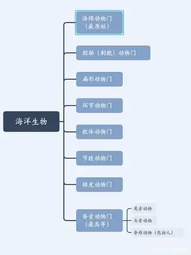这些海洋生物居然长这样?