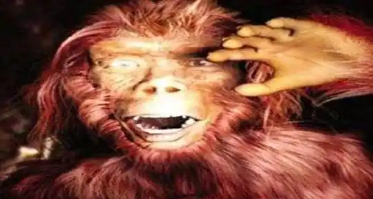 遍身红毛的野人,擒获挖参人为何不吃不杀,还帮人发家致富!