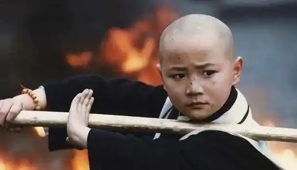 然而,在儿时的他,凭借电视剧《真命小和尚》一炮走红,成为当时最炙手