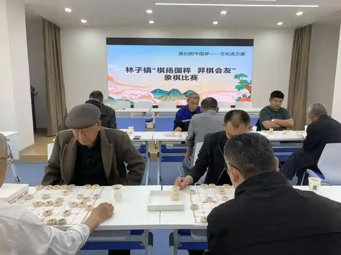 临邑县林子镇文化站组织开展棋扬国粹弈棋会友象棋比赛