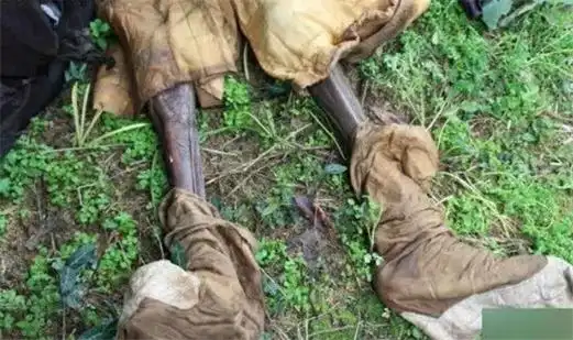 1995年成都僵尸事件揭秘95年成都出现僵尸真相网友杜撰